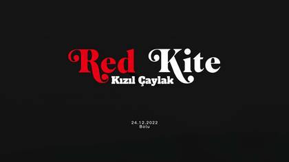 Kızıl Çaylak - Bolu
