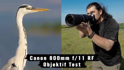 Canon 800mm f/11