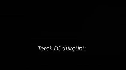 Terek düdükçünü