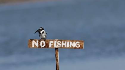 No Fishing